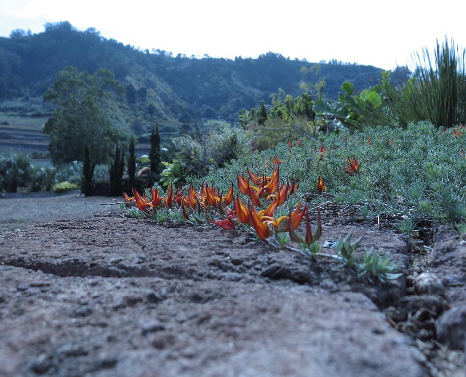 Valle de Guerra Haciendas Del Valle - Las Kentias מראה חיצוני תמונה
